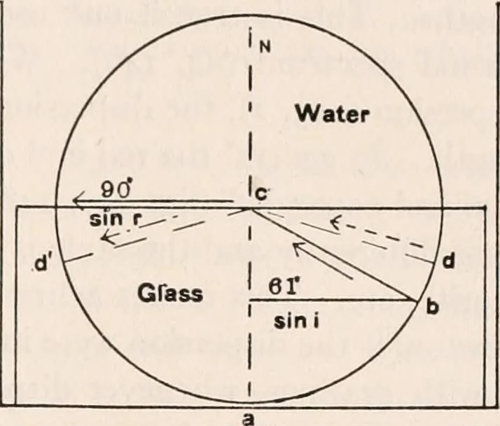 An illustration from The microscope; an introduction to microscopic methods and to histology, 1917, leaf 292