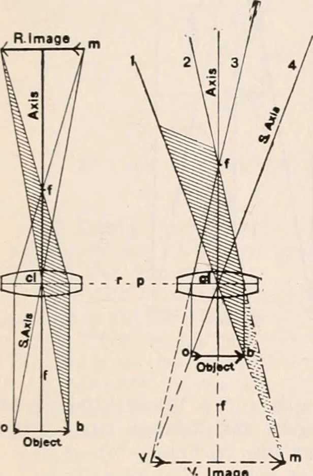 An illustration from The microscope; an introduction to microscopic methods and to histology, 1917, leaf 294