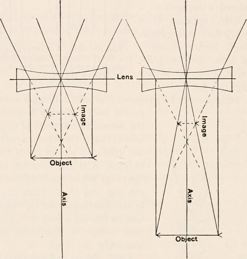 An illustration from The microscope; an introduction to microscopic methods and to histology, 1917, leaf 295