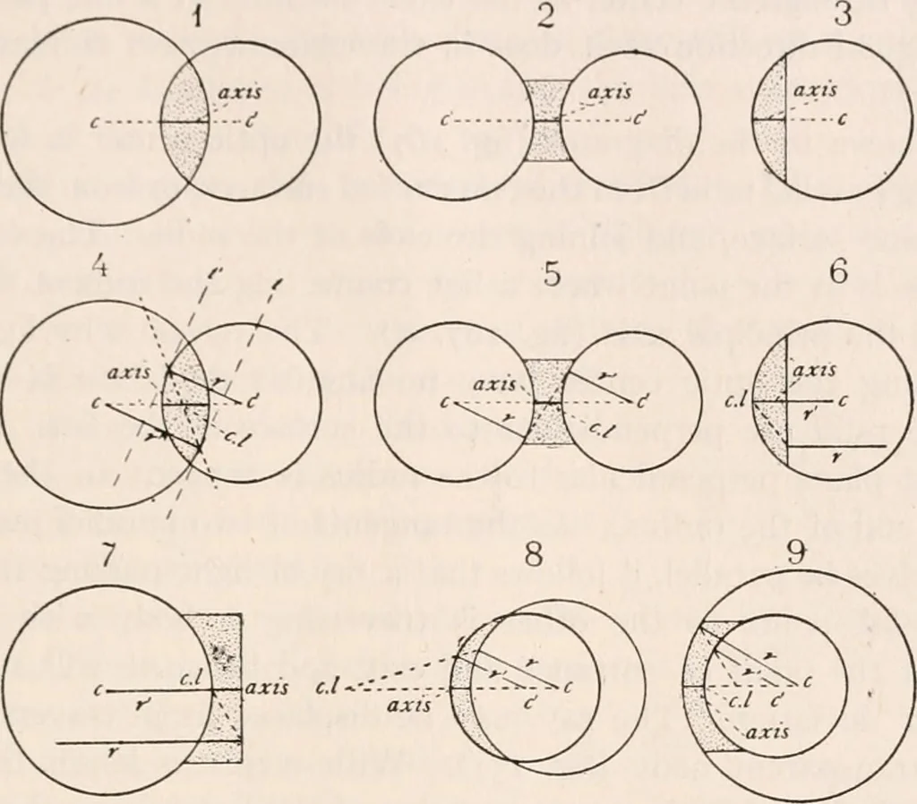 An illustration from The microscope; an introduction to microscopic methods and to histology, 1917, leaf 296