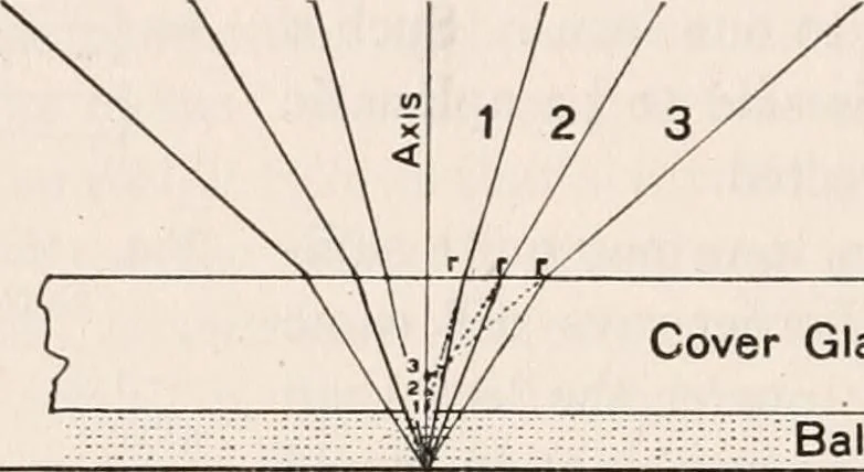 An illustration from The microscope; an introduction to microscopic methods and to histology, 1917, leaf 299