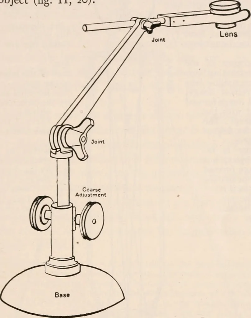 An illustration from The microscope; an introduction to microscopic methods and to histology, 1917, leaf 30