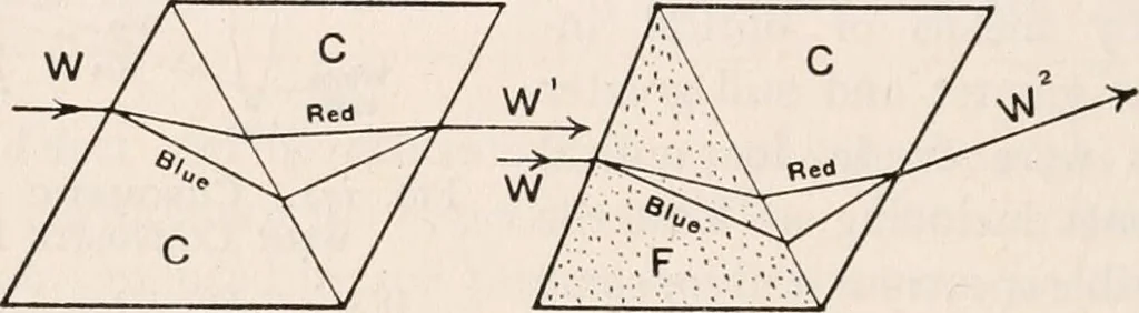 An illustration from The microscope; an introduction to microscopic methods and to histology, 1917, leaf 303