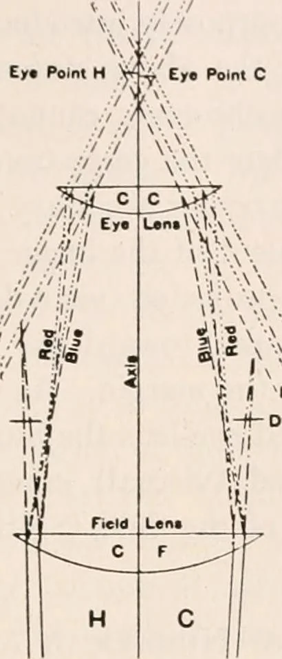 An illustration from The microscope; an introduction to microscopic methods and to histology, 1917, leaf 306