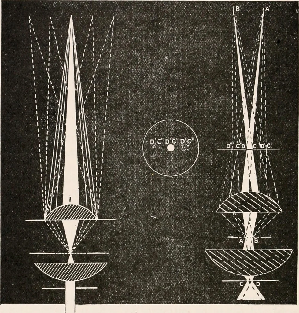 An illustration from The microscope; an introduction to microscopic methods and to histology, 1917, leaf 315