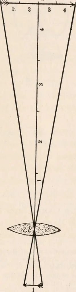 An illustration from The microscope; an introduction to microscopic methods and to histology, 1917, leaf 318