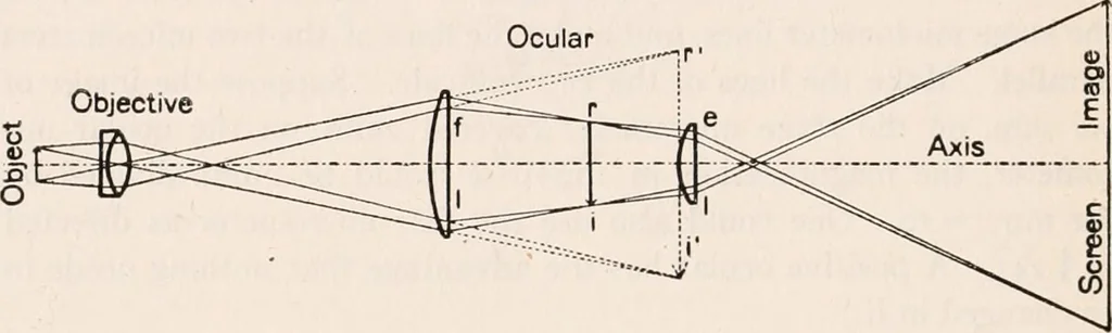 An illustration from The microscope; an introduction to microscopic methods and to histology, 1917, leaf 321