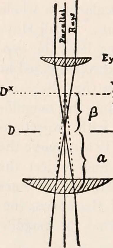 An illustration from The microscope; an introduction to microscopic methods and to histology, 1917, leaf 323