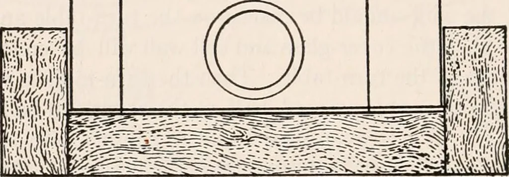An illustration from The microscope; an introduction to microscopic methods and to histology, 1917, leaf 339