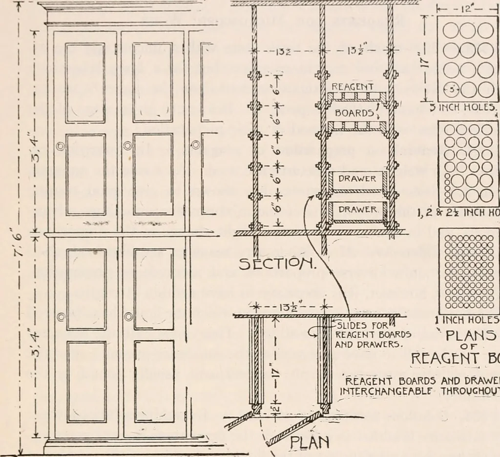 An illustration from The microscope; an introduction to microscopic methods and to histology, 1917, leaf 358