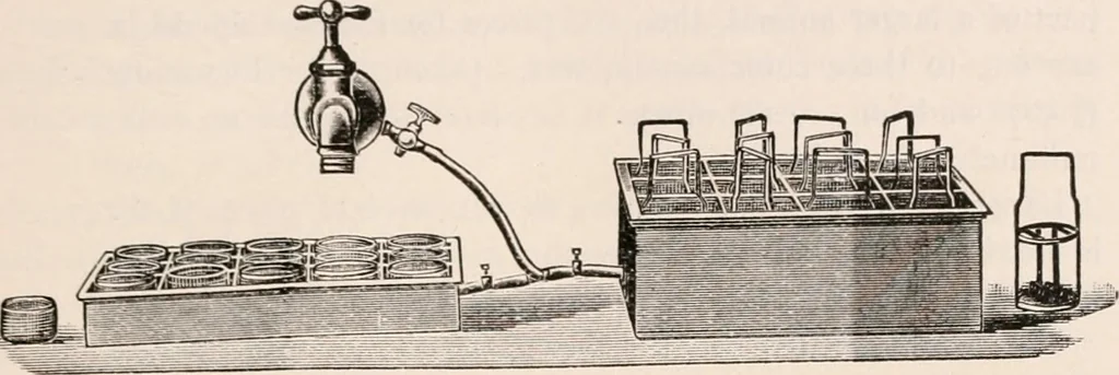 An illustration from The microscope; an introduction to microscopic methods and to histology, 1917, leaf 382