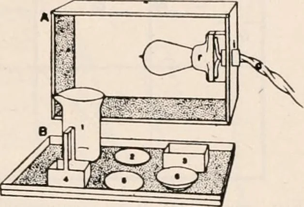 An illustration from The microscope; an introduction to microscopic methods and to histology, 1917, leaf 390