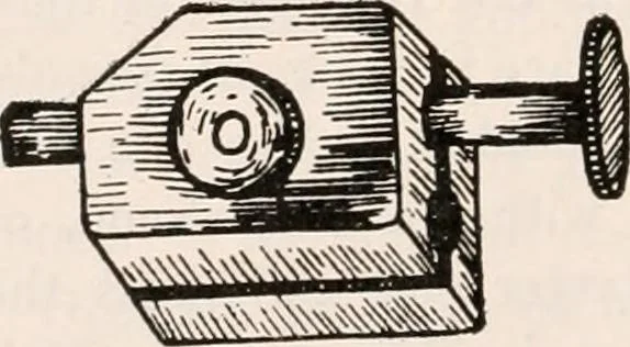 An illustration from The microscope; an introduction to microscopic methods and to histology, 1917, leaf 391