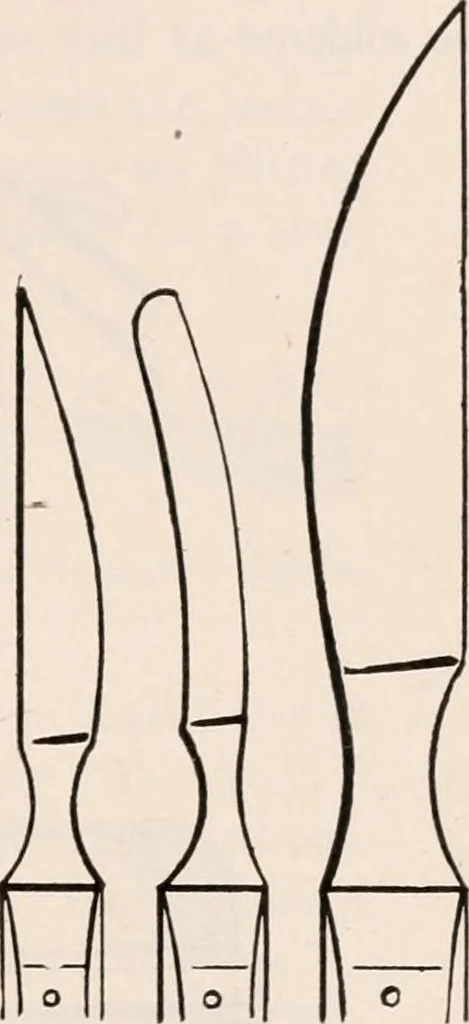 An illustration from The microscope; an introduction to microscopic methods and to histology, 1917, leaf 392