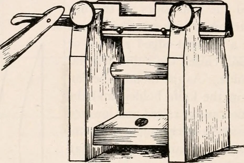 An illustration from The microscope; an introduction to microscopic methods and to histology, 1917, leaf 393