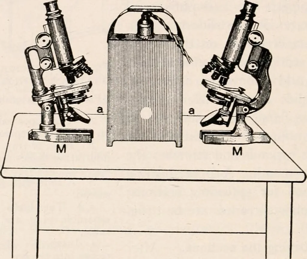 An illustration from The microscope; an introduction to microscopic methods and to histology, 1917, leaf 397