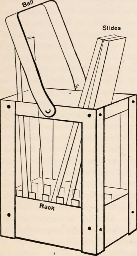 An illustration from The microscope; an introduction to microscopic methods and to histology, 1917, leaf 398