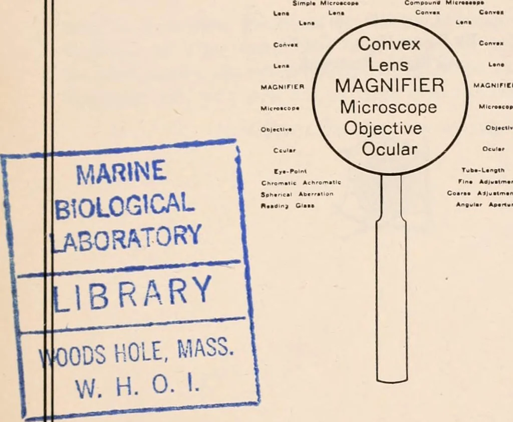 An illustration from The microscope; an introduction to microscopic methods and to histology, 1917, leaf 4