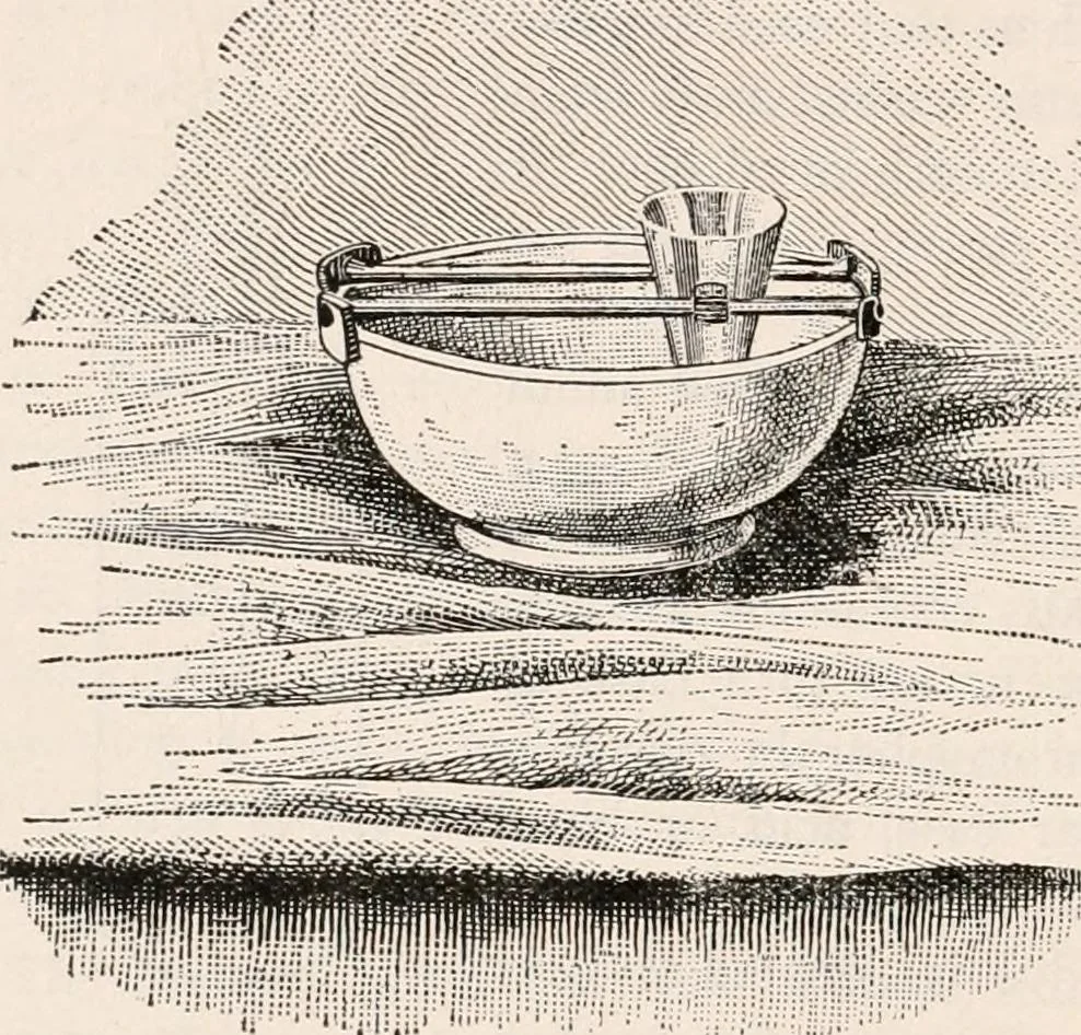 An illustration from The microscope; an introduction to microscopic methods and to histology, 1917, leaf 407