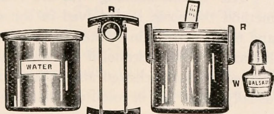 An illustration from The microscope; an introduction to microscopic methods and to histology, 1917, leaf 408