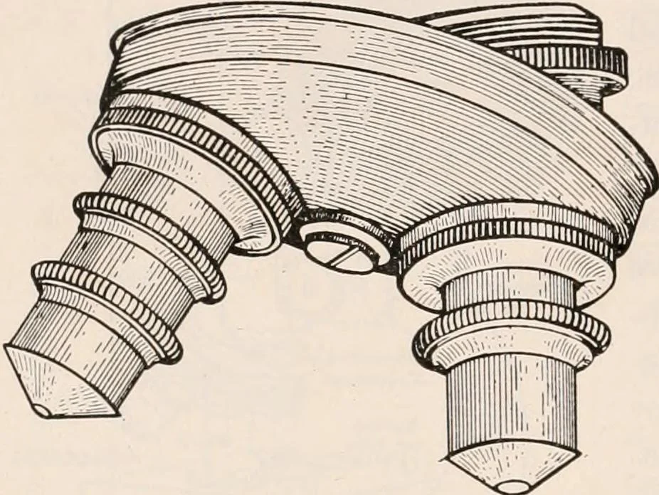An illustration from The microscope; an introduction to microscopic methods and to histology, 1917, leaf 41