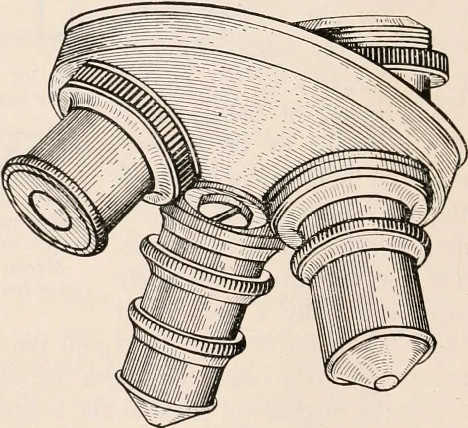An illustration from The microscope; an introduction to microscopic methods and to histology, 1917, leaf 41