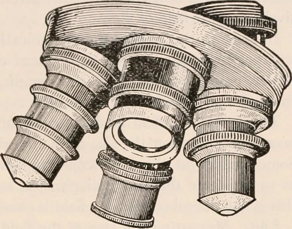 An illustration from The microscope; an introduction to microscopic methods and to histology, 1917, leaf 42