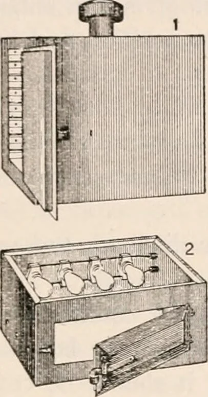 An illustration from The microscope; an introduction to microscopic methods and to histology, 1917, leaf 424