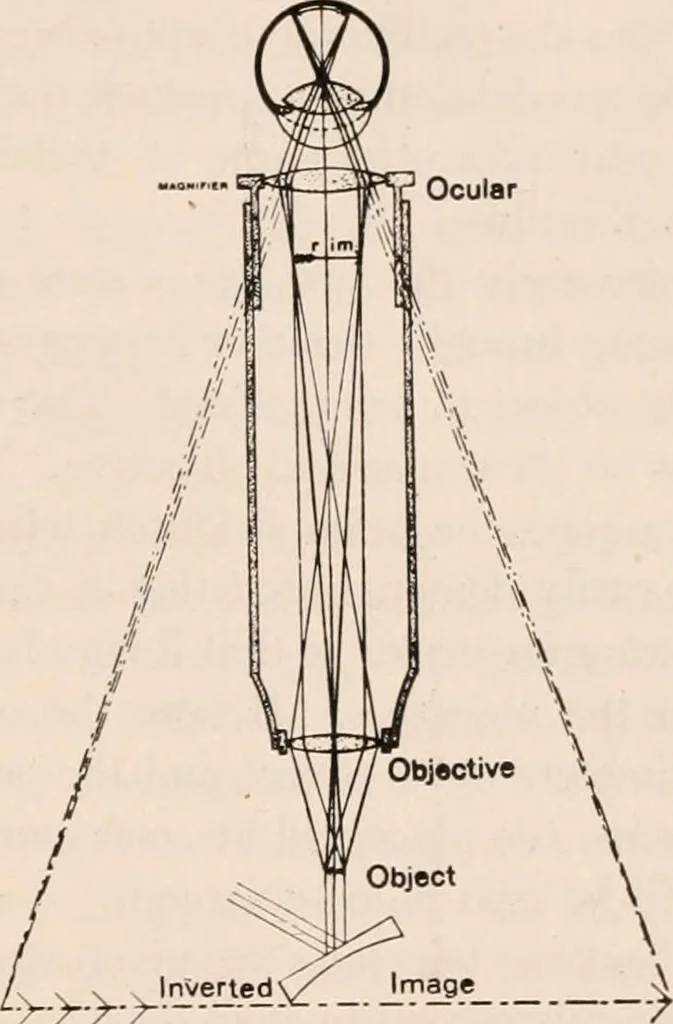 An illustration from The microscope; an introduction to microscopic methods and to histology, 1917, leaf 442