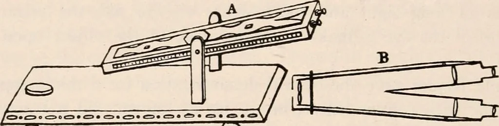 An illustration from The microscope; an introduction to microscopic methods and to histology, 1917, leaf 445