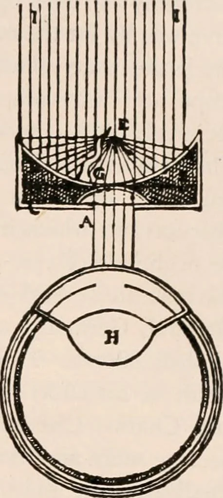 An illustration from The microscope; an introduction to microscopic methods and to histology, 1917, leaf 448