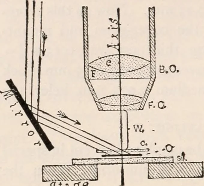 An illustration from The microscope; an introduction to microscopic methods and to histology, 1917, leaf 59