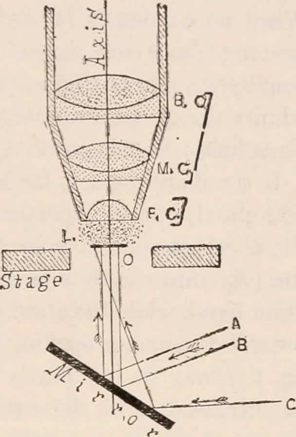An illustration from The microscope; an introduction to microscopic methods and to histology, 1917, leaf 60