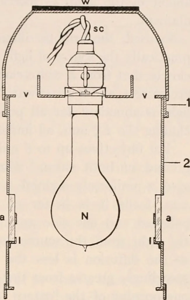 An illustration from The microscope; an introduction to microscopic methods and to histology, 1917, leaf 64