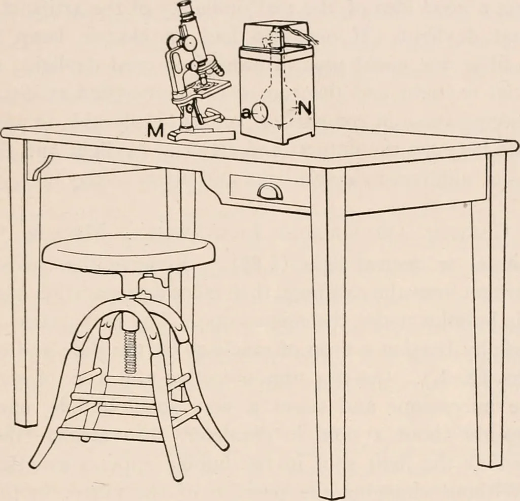 An illustration from The microscope; an introduction to microscopic methods and to histology, 1917, leaf 68