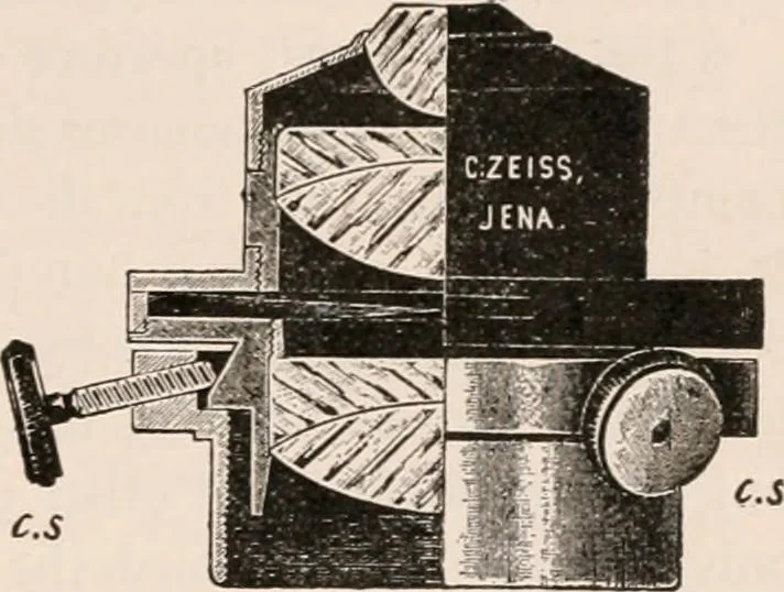 An illustration from The microscope; an introduction to microscopic methods and to histology, 1917, leaf 72