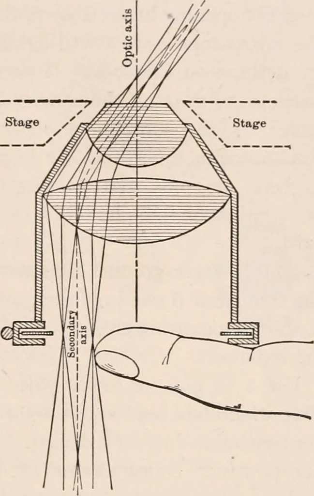 An illustration from The microscope; an introduction to microscopic methods and to histology, 1917, leaf 80