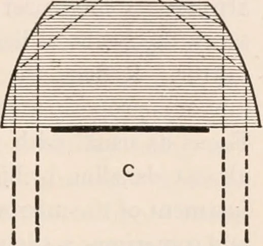 An illustration from The microscope; an introduction to microscopic methods and to histology, 1917, leaf 86