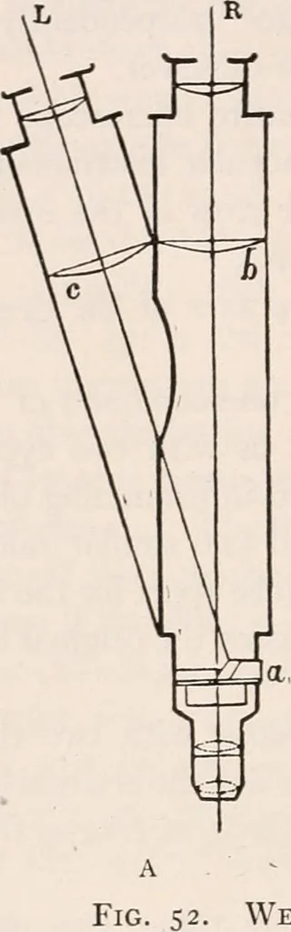 An illustration from The microscope; an introduction to microscopic methods and to histology, 1917, leaf 97