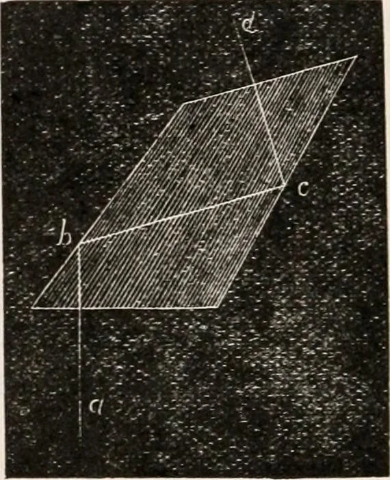 An illustration from The microscope; an introduction to microscopic methods and to histology, 1917, leaf 97