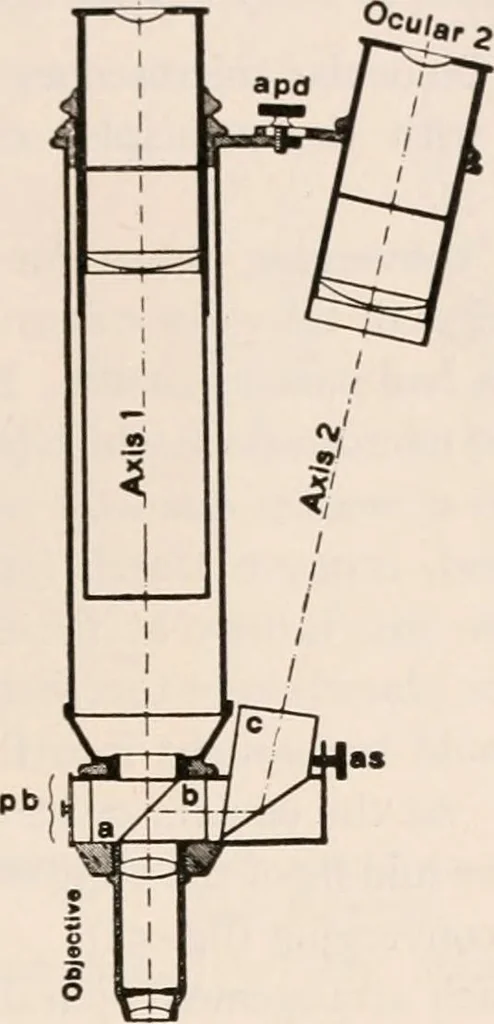 An illustration from The microscope; an introduction to microscopic methods and to histology, 1917, leaf 98