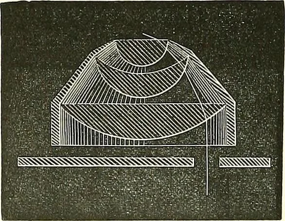 An illustration from The microscope : its construction and management : including technique, photo-micrography, and the past and future of the microscope, 1893, leaf 101