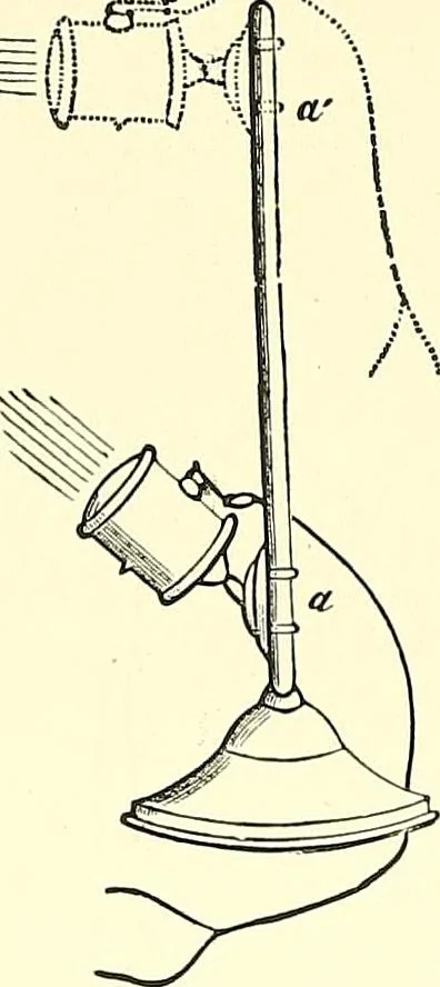 An illustration from The microscope : its construction and management : including technique, photo-micrography, and the past and future of the microscope, 1893, leaf 133