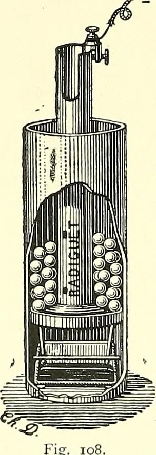 An illustration from The microscope : its construction and management : including technique, photo-micrography, and the past and future of the microscope, 1893, leaf 137