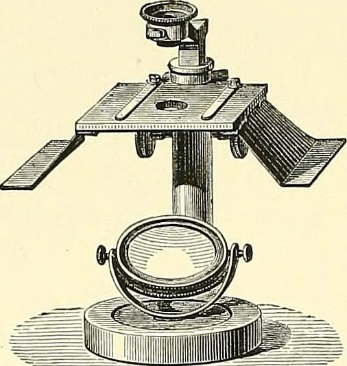 An illustration from The microscope : its construction and management : including technique, photo-micrography, and the past and future of the microscope, 1893, leaf 141