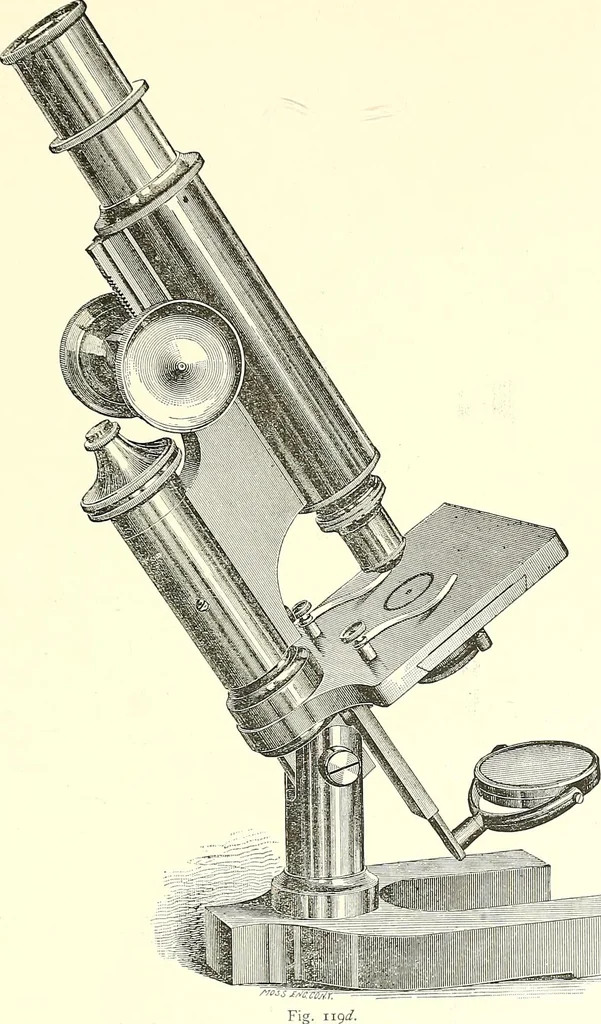 An illustration from The microscope : its construction and management : including technique, photo-micrography, and the past and future of the microscope, 1893, leaf 164