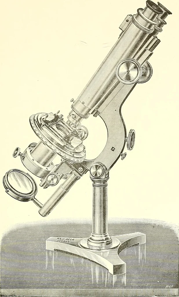 An illustration from The microscope : its construction and management : including technique, photo-micrography, and the past and future of the microscope, 1893, leaf 170