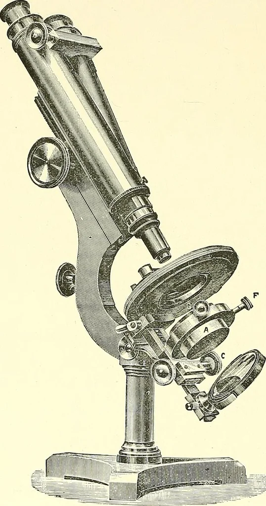 An illustration from The microscope : its construction and management : including technique, photo-micrography, and the past and future of the microscope, 1893, leaf 171