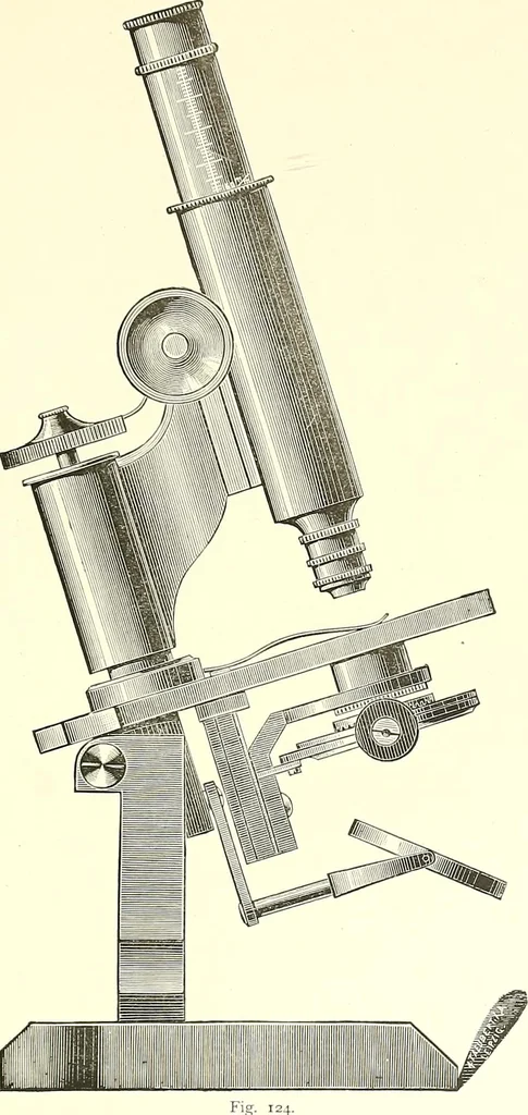 An illustration from The microscope : its construction and management : including technique, photo-micrography, and the past and future of the microscope, 1893, leaf 174