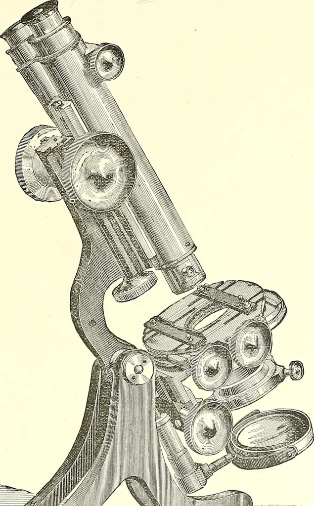 An illustration from The microscope : its construction and management : including technique, photo-micrography, and the past and future of the microscope, 1893, leaf 180